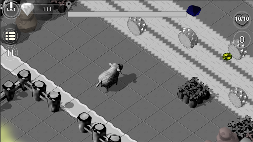 Crazy Animal Crossy Road