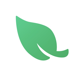 تصویر نماد Leaf VPN