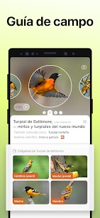 Picture Bird – Reconocer Aves APK/MOD 4