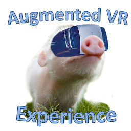 Ikonbild för Augmented VR Experience Demo