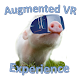 Augmented VR Experience Demo - Androidアプリ