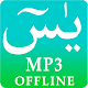 Yaseen MP3 Download on Windows