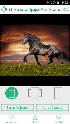 馬 壁紙 無料 スマホ Androidアプリ Applion