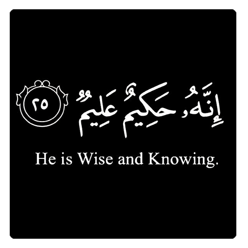 Islamic Reminders Quotes 9.0 Icon