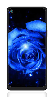 Blue Golden Rose Wallpaper : HD‏ 1.0 APK + Mod (Unlimited money) إلى عن على ذكري المظهر