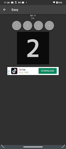 Anki Screen 3