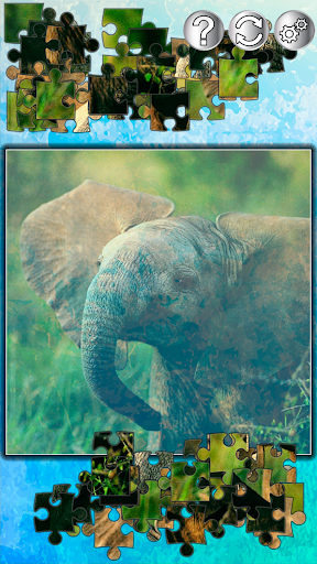 Jigsaw Puzzles Animals