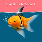 Cover Image of Tải xuống Goldfish Shark Theme +HOME  APK