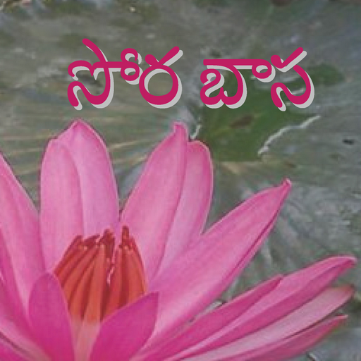 Sora Dictionary logo