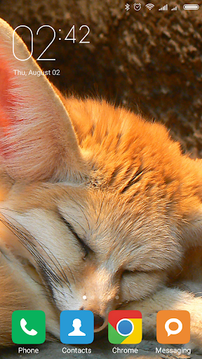 Fennec fox Wallpapers