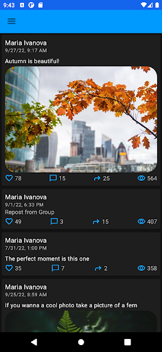 Wall Likes VK Screen 3