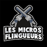 Les Micros Flingueurs icon