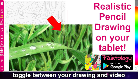 Paintology - Paint, Draw & Soc