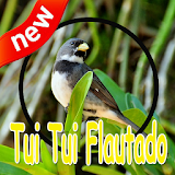 Coleiro Tui Tui Flautado Complete Mp3 icon