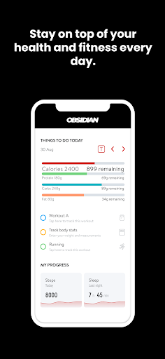 Obsidian Coaching Screen 2