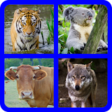 Guess the Animal Quiz icon