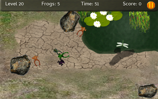 Baby Frogs Screen 3