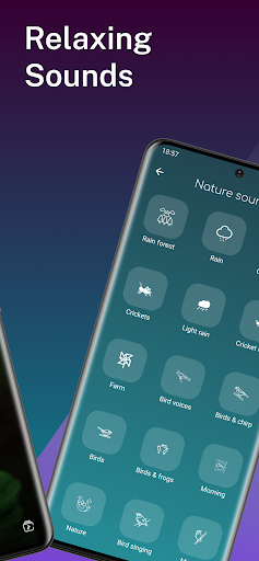 Nature Sounds - Relaxing Screen 2