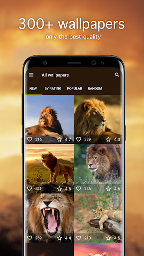 Lion Wallpapers 4K 5.6.22 screenshots 1