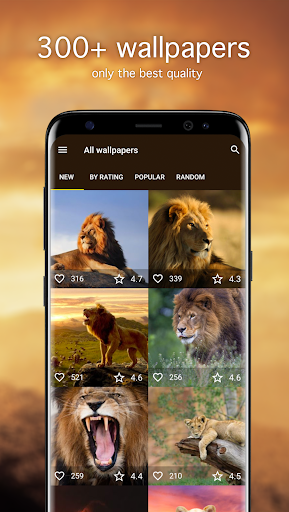 Screenshot of Lion Wallpapers 4K