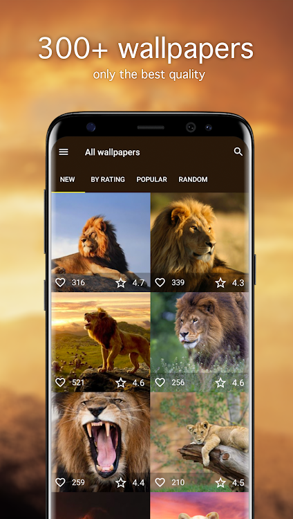 Lion Wallpapers 4K - 5.7.91 - (Android)