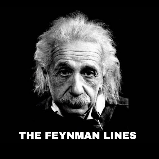 THE FEYNMAN LINES logo