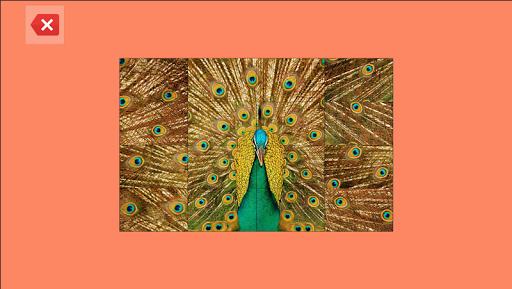 Tile Jigsaw  Cute Animals around the World