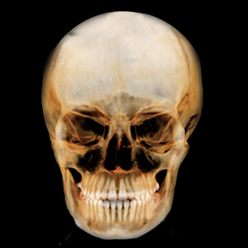 Dental Panoramic Radiology logo