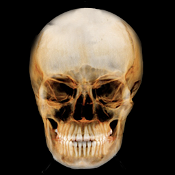 Icon image Dental Panoramic Radiology