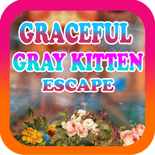 Graceful Gray Kitten Escape - A2Z Escape Game