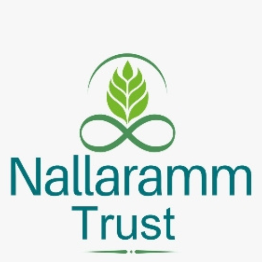 Nallaram Padasalai Screen 3