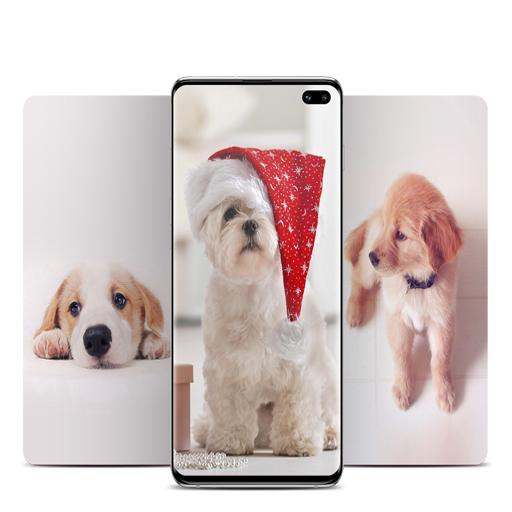 子犬の壁紙 Google Play のアプリ