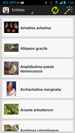 Terrestrial Mollusc Key Screen 3