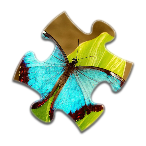 Butterfly Jigsaw Puzzles  Icon