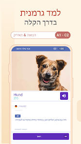 צילום מסך