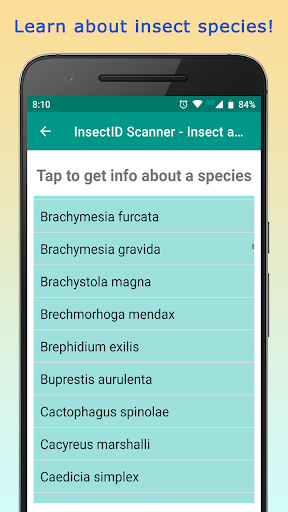 InsectID - Identify Insects Screen 3