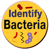 Bacteria Identification Made Easy | Free & Offline icon