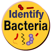 Bacteria Identification Made Easy | Free Offline