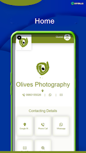 Olives Photography