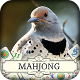 Hidden Mahjong: Winter Birding icon