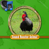 Sound Rooster Mp3 icon
