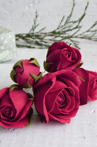 Android application Beautiful Roses and Flowers Im screenshort