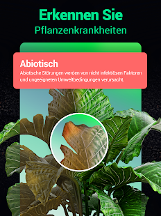 Plantum - Pflanzen bestimmen Screenshot