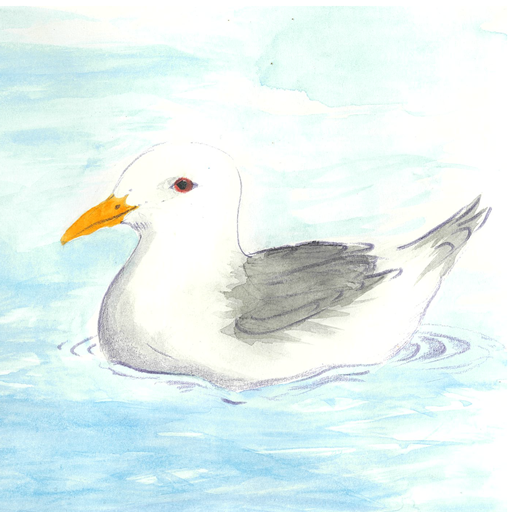 Sam the seagull logo