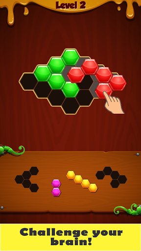 Hex Block Puzzles Screen 2