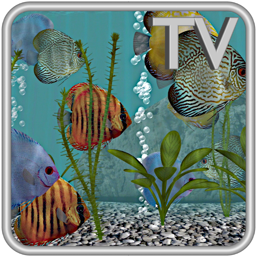 Discus Fish Aquarium TV Live 1.2.3 Icon