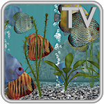Discus Fish Aquarium TV - 3D Live App Apk