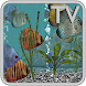 Discus Fish Aquarium TV Live