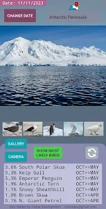 Bird Seeker Antarctica