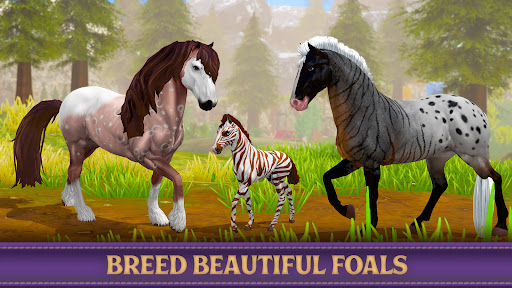 Android application Star Equestrian - Horse Ranch screenshort